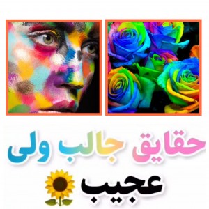 کاور