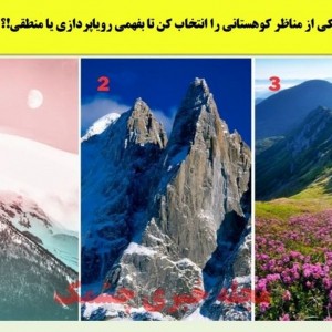 تست شخصیت شناسی