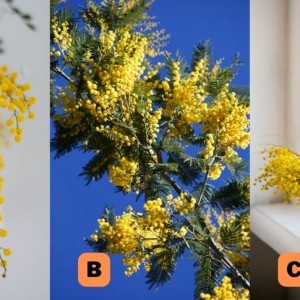 تست شخصیت شناسی `~`