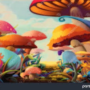 پست ساکن یک سرزمین کیوت