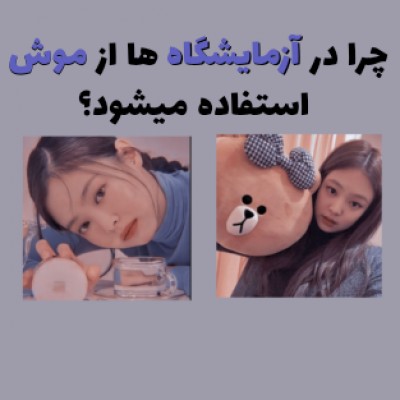 کاور
