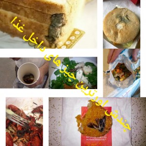 چندش آور ترین چیز های داخل غذا