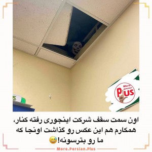 کاور