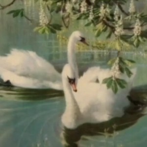 خنثی‌ترین‌تایپ‌ها