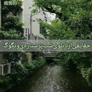 عکس حقایقی‌از‌شب‌پرستاره‌ی‌ونگوگ