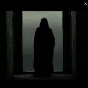 سوروس اسنیپ p2