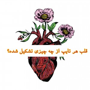 قلب هر تایپ از چی ساخته شده؟