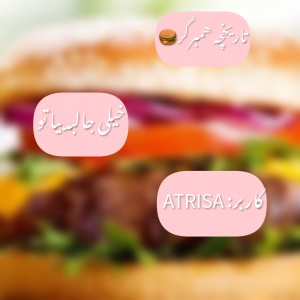 عکس تاریخچه‌همبرگر🍔