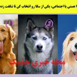 تست شخصیت شناسی