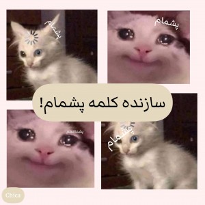 کاور