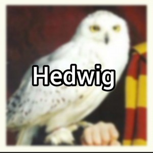 عکس Hedwig