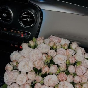 کاور