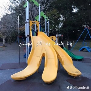 عکس اونا فقط یه کار داشتن