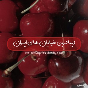 کاور