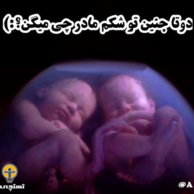 عکس مکالمه دو جنین!