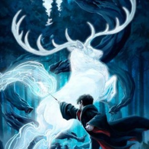 رتبه بندی محفل ققنوس🌿