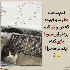 عکس زنده میخوامشون🤐