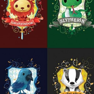 فرق دنیای جادوگرهاوماگل هاp2