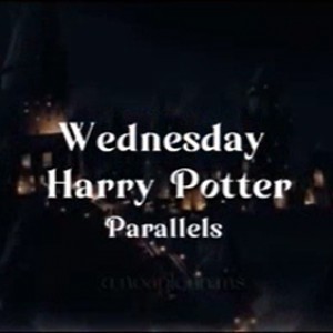 شباهت های ونزدی و هری پاتر