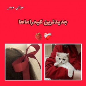 کاور