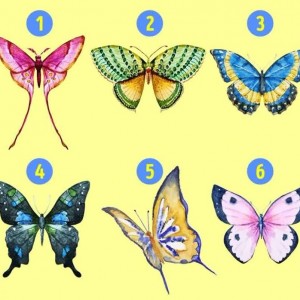 تست شخصیت شناسی