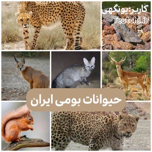 عکس حیوانات بومی ایران