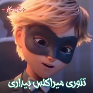 تئوری بیداری !