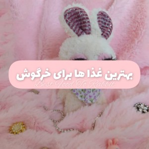 بهترین غذا ها برای خرگوش؛