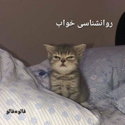کاور