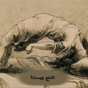 کاور