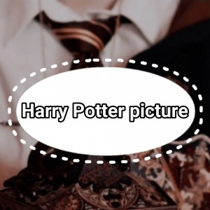 Harry Potter picture