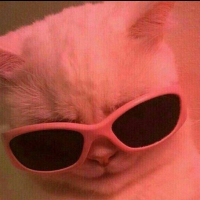 تایپ mbti(پارت 2)