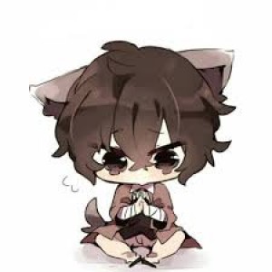 عکس از دازای