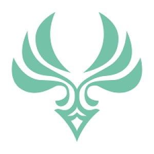 تایپ بعضی از افراد گنشین