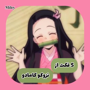 ۵فکت از نزوکو کامادو