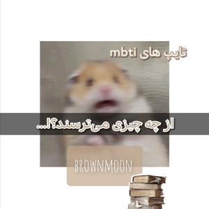 ترس تایپ‌های mbti فان