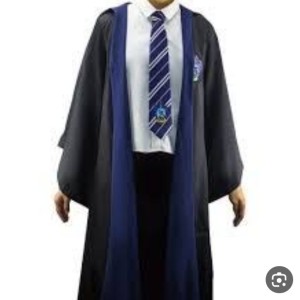 معرفی رمان دو خواهر هاگوارتز