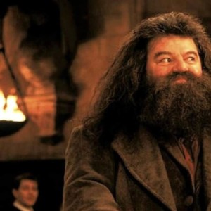 کامل کردن جملات- نسخه هاگرید