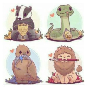 کدوم گروه هاگوارتز هستی؟