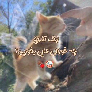 زنگ تفریح چی بخریم؟