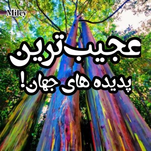 عکس عجیبترین پدیده های جهان!