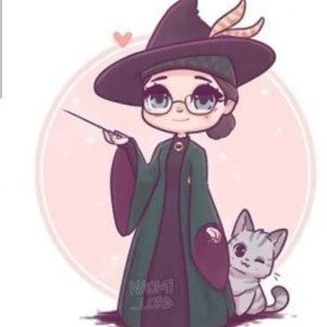 چت هری پاتر و بابانوئل۲