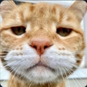 چقدر برونگرایی؟