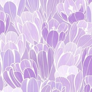 عکس گل خشک شده p4