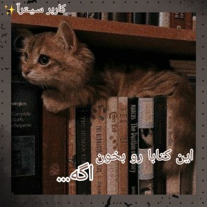 عکس این کتابا رو بخون اگه...