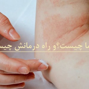 کاور
