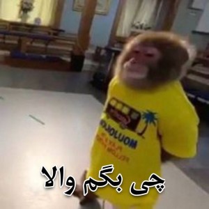 کاور