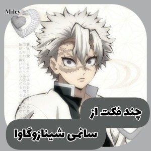 چند فکت از سانمی شینازوگاوا