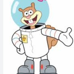 چقدر شبیه سندی چیکس هستی؟