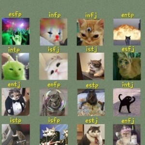 عکس mbti 😂😂